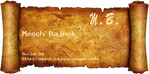 Mesch Bajnok névjegykártya